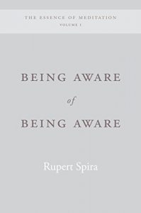 Descargar Being Aware of Being Aware (The Sahaja Publications Essence of Meditation Series) pdf, epub, ebook