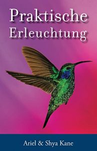Descargar Praktische Erleuchtung (German Edition) pdf, epub, ebook