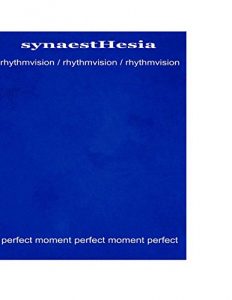 Descargar synaestHesia: rhythmvision pdf, epub, ebook