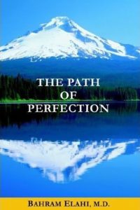 Descargar The Path of Perfection (English Edition) pdf, epub, ebook