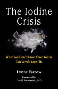 Descargar The Iodine Crisis: What You Don’t Know About Iodine Can Wreck Your Life (English Edition) pdf, epub, ebook