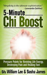 Descargar 5-Minute Chi Boost – Pressure Points for Reviving Life Energy, Avoiding Pain and Healing Fast (Chi Powers for Modern Age Book 1) (English Edition) pdf, epub, ebook