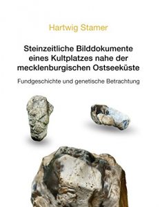 Descargar Steinzeitliche Bilddokumente eines Kultplatzes nahe der mecklenburgischen Ostseeküste: Fundgeschichte und genetische Betrachtung pdf, epub, ebook