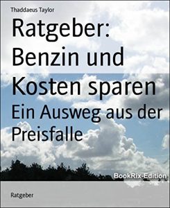 Descargar Ratgeber: Benzin und Kosten sparen: Ein Ausweg aus der Preisfalle (German Edition) pdf, epub, ebook