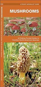 Descargar Mushrooms: A Folding Pocket Guide to Familiar North American Species (Pocket Naturalist Guide Series) pdf, epub, ebook