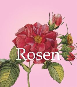 Descargar Rosen pdf, epub, ebook