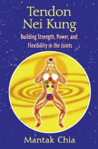 Descargar Tendon Nei Kung: Building Strength, Power, and Flexibility in the Joints pdf, epub, ebook