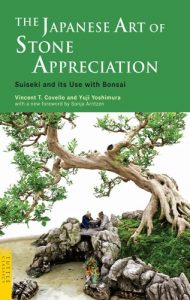 Descargar The Japanese Art of Stone Appreciation: Suiseki and its Use with Bonsai (Tuttle Classics) pdf, epub, ebook