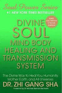 Descargar Divine Soul Mind Body Healing and Transmission Sys: The Divine Way to Heal You, Humanity, Mother Earth (Soul Power) (English Edition) pdf, epub, ebook