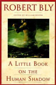 Descargar A Little Book on the Human Shadow pdf, epub, ebook