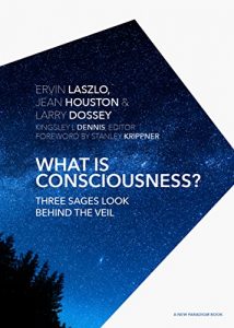 Descargar What is Consciousness?: Three Sages Look Behind the Veil (A New Paradigm Book) pdf, epub, ebook