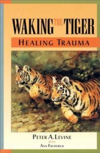 Descargar Waking the Tiger: Healing Trauma (English Edition) pdf, epub, ebook