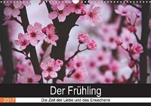 Descargar Kalender zum Selberdrucken-Der bunte Frühling 2017: DIN A4 Querformat-Kalender mit deutschen Feiertagen pdf, epub, ebook