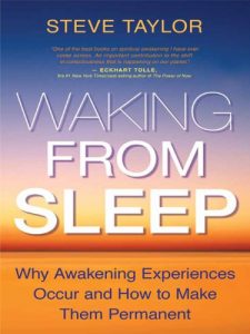 Descargar Waking From Sleep pdf, epub, ebook