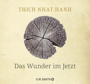 Descargar Das Wunder im Jetzt pdf, epub, ebook