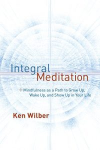 Descargar Integral Meditation: Mindfulness as a Way to Grow Up, Wake Up, and Show Up in Your Life pdf, epub, ebook