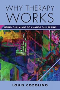 Descargar Why Therapy Works: Using Our Minds to Change Our Brains (Norton Series on Interpersonal Neurobiology) pdf, epub, ebook