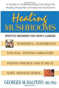 Descargar Healing Mushrooms: Effective Treatment for Today’s Illnesses pdf, epub, ebook