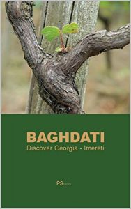 Descargar BAGHDATI (Discover Georgia – Imereti Book 6) (English Edition) pdf, epub, ebook