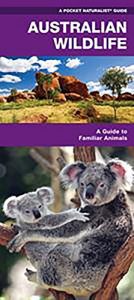 Descargar Australian Wildlife: A Folding Pocket Guide to Familiar Species (Pocket Naturalist Guide Series) pdf, epub, ebook