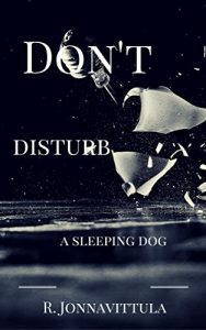 Descargar Don’t Disturb a Sleeping Dog (German Edition) pdf, epub, ebook