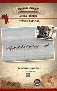 Descargar Etosha National Park Namibia Africa: Mini Roadbook Adventure (English Edition) pdf, epub, ebook