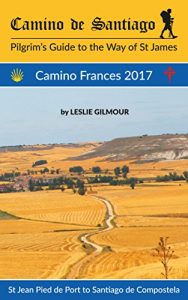 Descargar Camino de Santiago: Camino Frances 2017 (English Edition) pdf, epub, ebook