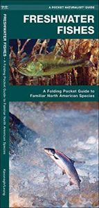 Descargar Freshwater Fishes: A Folding Pocket Guide to Familiar North American Species (Pocket Naturalist Guide Series) pdf, epub, ebook