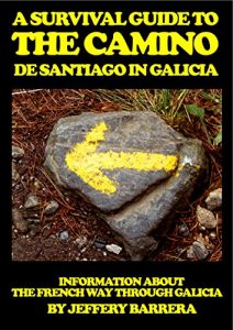 Descargar A Survival Guide to the Camino de Santiago in Galicia: Information about the French Way through Galicia (English Edition) pdf, epub, ebook