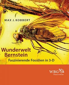 Descargar Wunderwelt Bernstein: Faszinierende Fossilien in 3-D (German Edition) pdf, epub, ebook