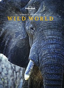 Descargar Lonely Planet’s Wild World pdf, epub, ebook