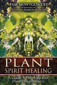 Descargar Plant Spirit Healing: A Guide to Working with Plant Consciousness pdf, epub, ebook