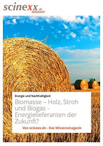 Descargar Biomasse: Holz, Stroh und Biogas – Energielieferanten der Zukunft? (German Edition) pdf, epub, ebook