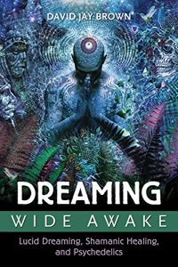 Descargar Dreaming Wide Awake: Lucid Dreaming, Shamanic Healing, and Psychedelics pdf, epub, ebook