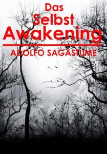 Descargar Das Selbst Awakening (German Edition) pdf, epub, ebook